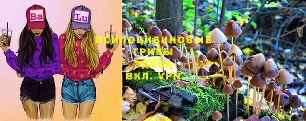 метадон Абаза