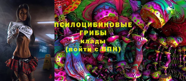 шишки Абдулино